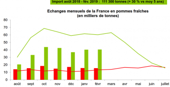 French apple exports 36% below average