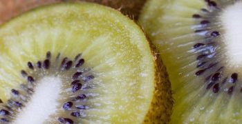 Chilean kiwi lands in North America