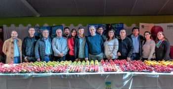 The CIV represented by its Variety Manager “Marco Bertolazzi” as international guest at the seventh edition of PomaExpo 2019 Chile