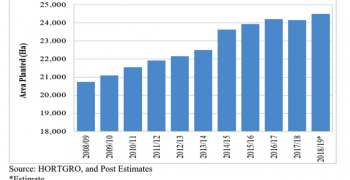 South Africa deciduous fruit production recovers