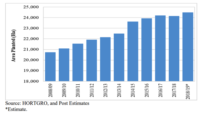 South Africa deciduous fruit production recovers