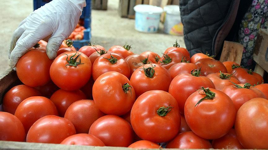 Turkey aims to increase tomato exports