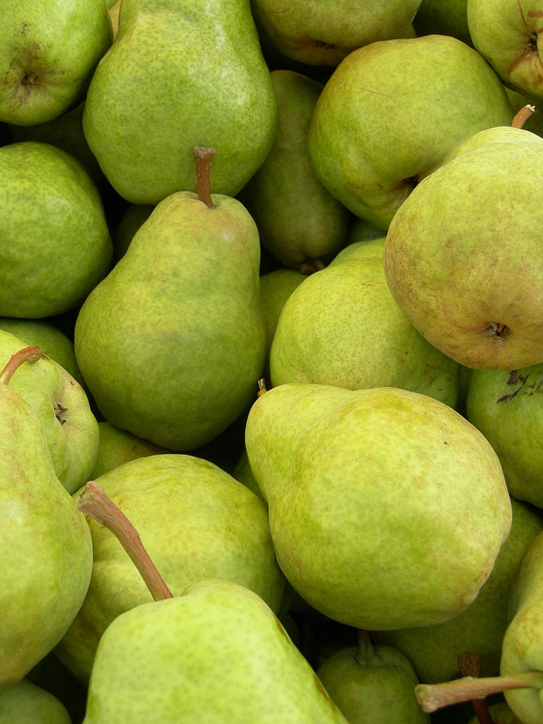 Italian pear crop decimated