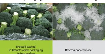 Smart packaging enhances food safety and security