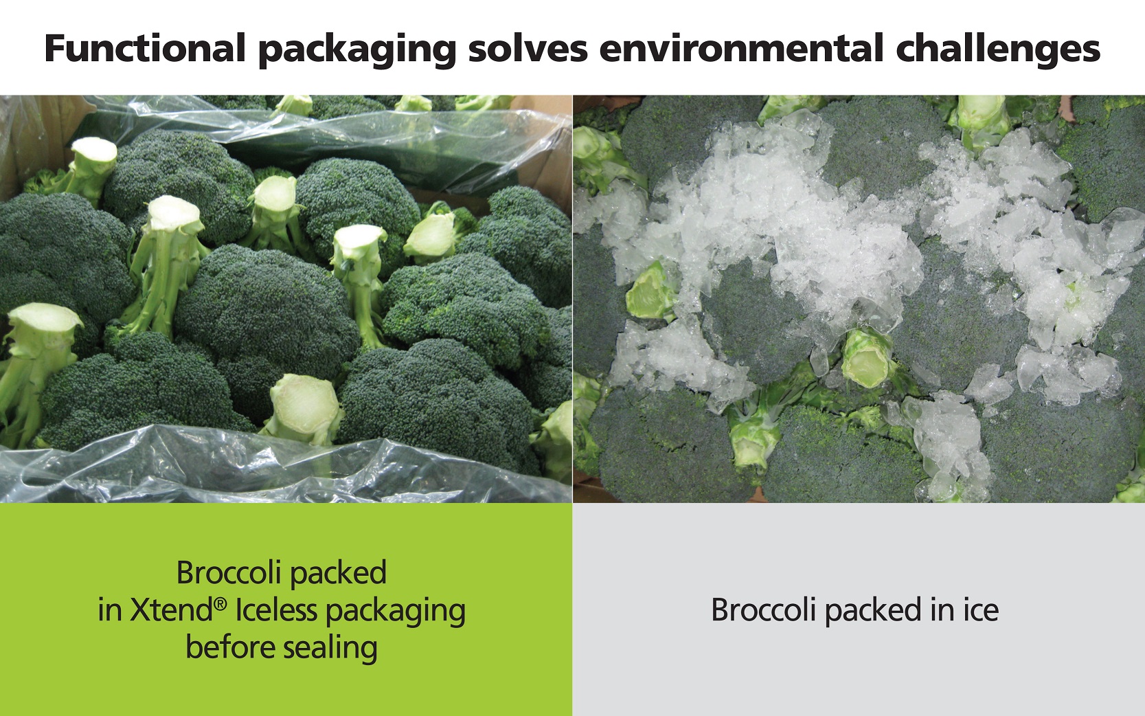 Smart packaging enhances food safety and security