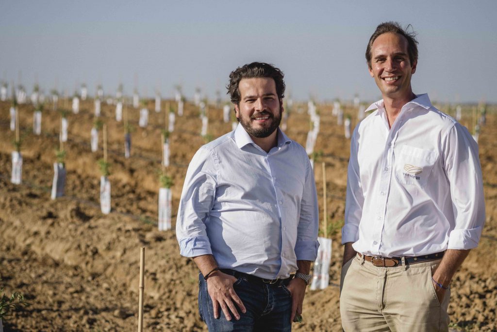 Veracruz Launches a mega almond plantation in Portugal, a €50 million investment