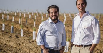 Veracruz Launches a mega almond plantation in Portugal, a €50 million investment