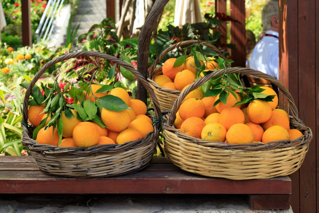 Bumper orange crop in store