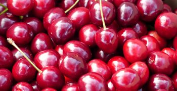 Chilean cherry exports overtake table grape exports