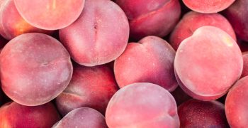Large European peach and nectarine crop in 2019/20
