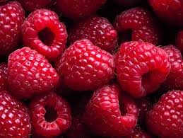 Morocco’s fresh raspberries gain access to US
