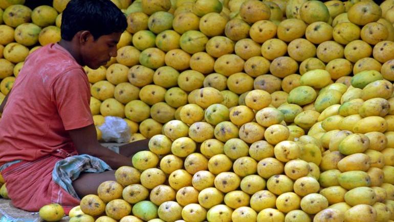 First Indian mangoes shipped to Europe by sea