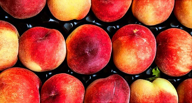 5% increase in Turkey’s peach and nectarine crop 