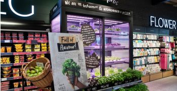 Marks & Spencer is now offering in-store grown fresh herbs
