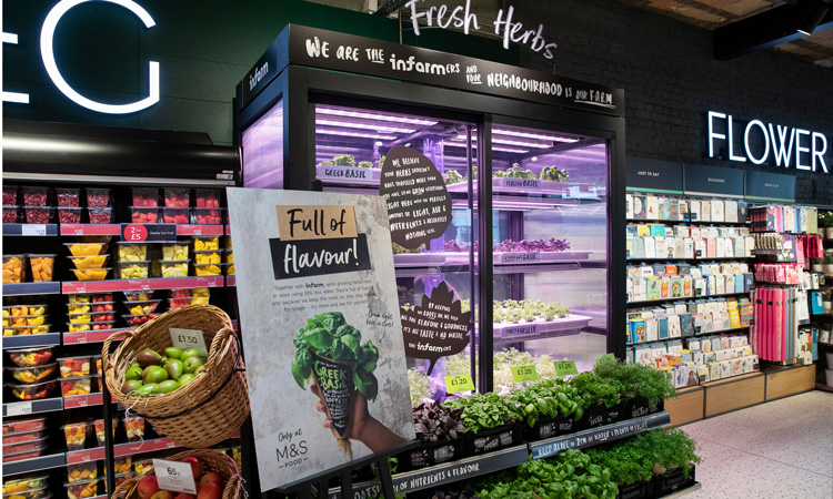 Marks & Spencer is now offering in-store grown fresh herbs