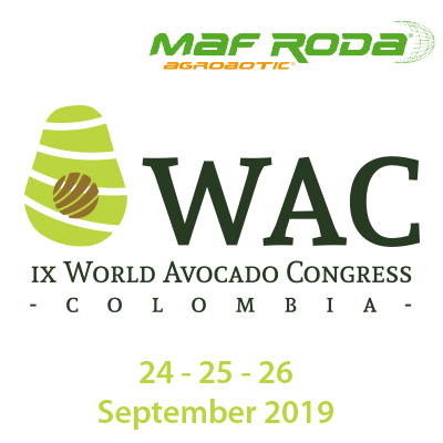 Colombia to surprise the world with the IX edition of the World Avocado Congress