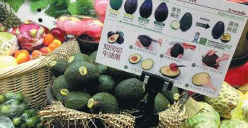 China’s retail sales of avocados up 72%