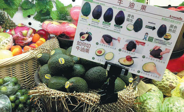 China’s retail sales of avocados up 72%