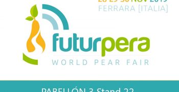 2019 edition of FuturPera in Ferrara 