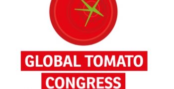Brand new Global Tomato Congress on 26 November in Rotterdam