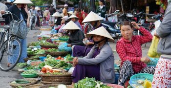 Vietnam strengthens trading links with Southern Hemisphere 