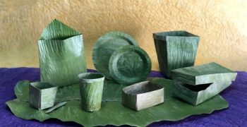 Banana leaf represents offers sustainable alternative to plastics