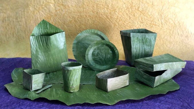 Banana leaf represents offers sustainable alternative to plastics