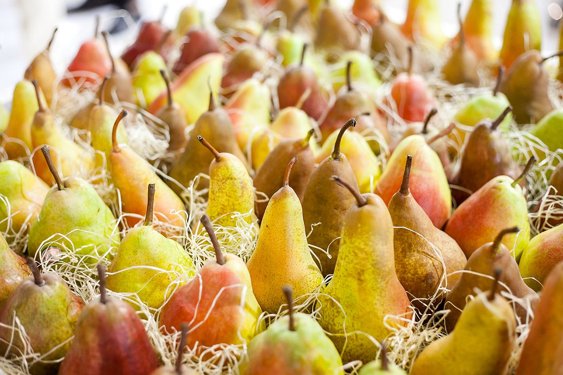EU pear crop shrinks 13% 