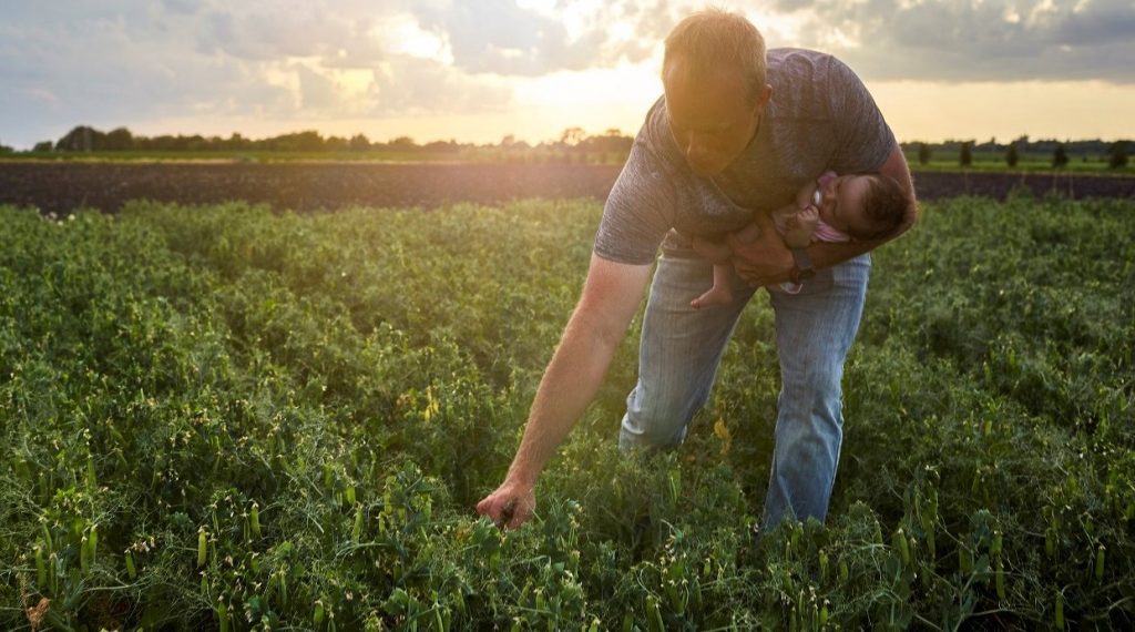 Regenerative Agriculture: Organic farmer in field, credit photo: Whole Foods Magazine