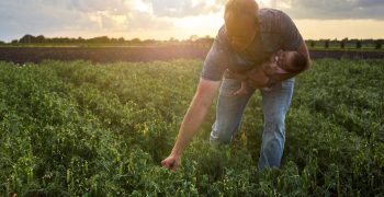 Wholefoods predicts rise in regenerative agriculture