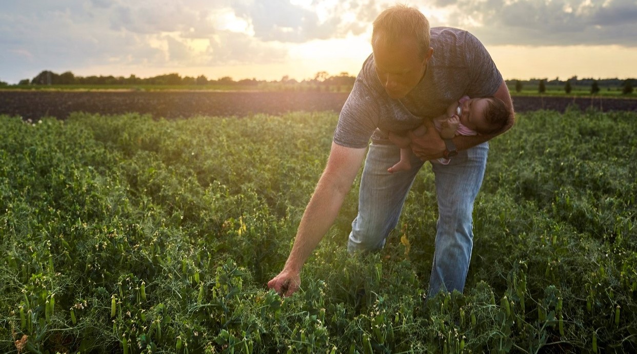 Regenerative Agriculture: Organic farmer in field, credit photo: Whole Foods Magazine