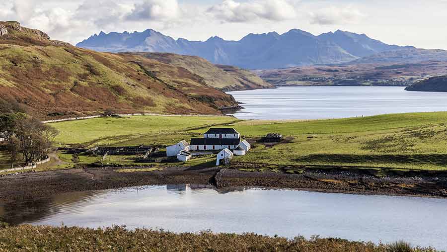 New studies in Scotland into sustainable crop combinations 