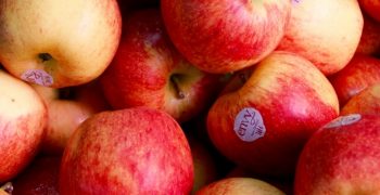 Steady rise of New Zealand’s apple 