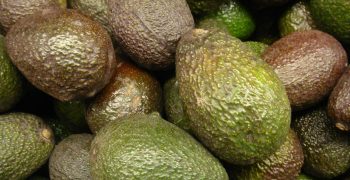 Chinese take delivery of first Colombian avocados