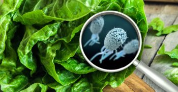 E.coli outbreak in US still not over