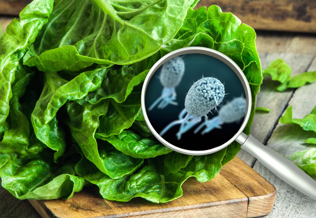 E.coli outbreak in US still not over, credit: leveland Clinic, Health essentials