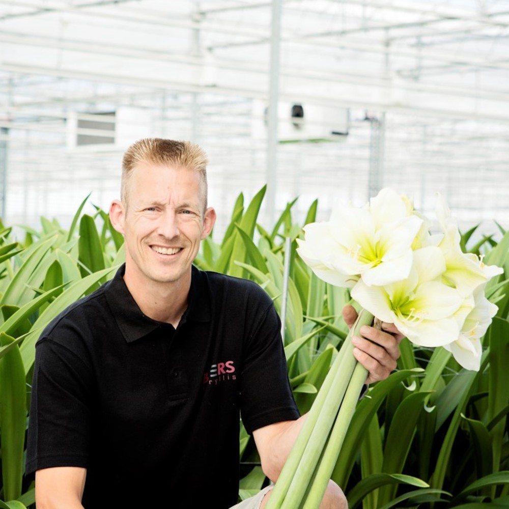 Supplementary feeding of predatory mites with pollen yields exceptional results, Erik Boers, Source: Decorum (https://www.decorumplantsflowers.com/)