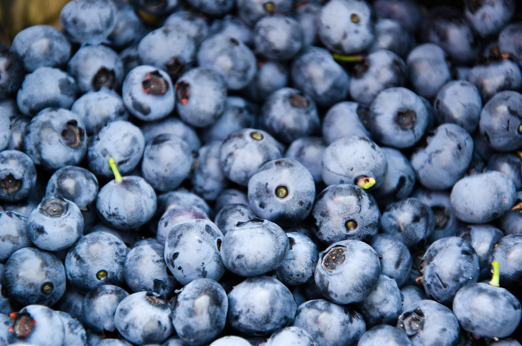 Peru increases blueberry exports ten-fold in seven years 