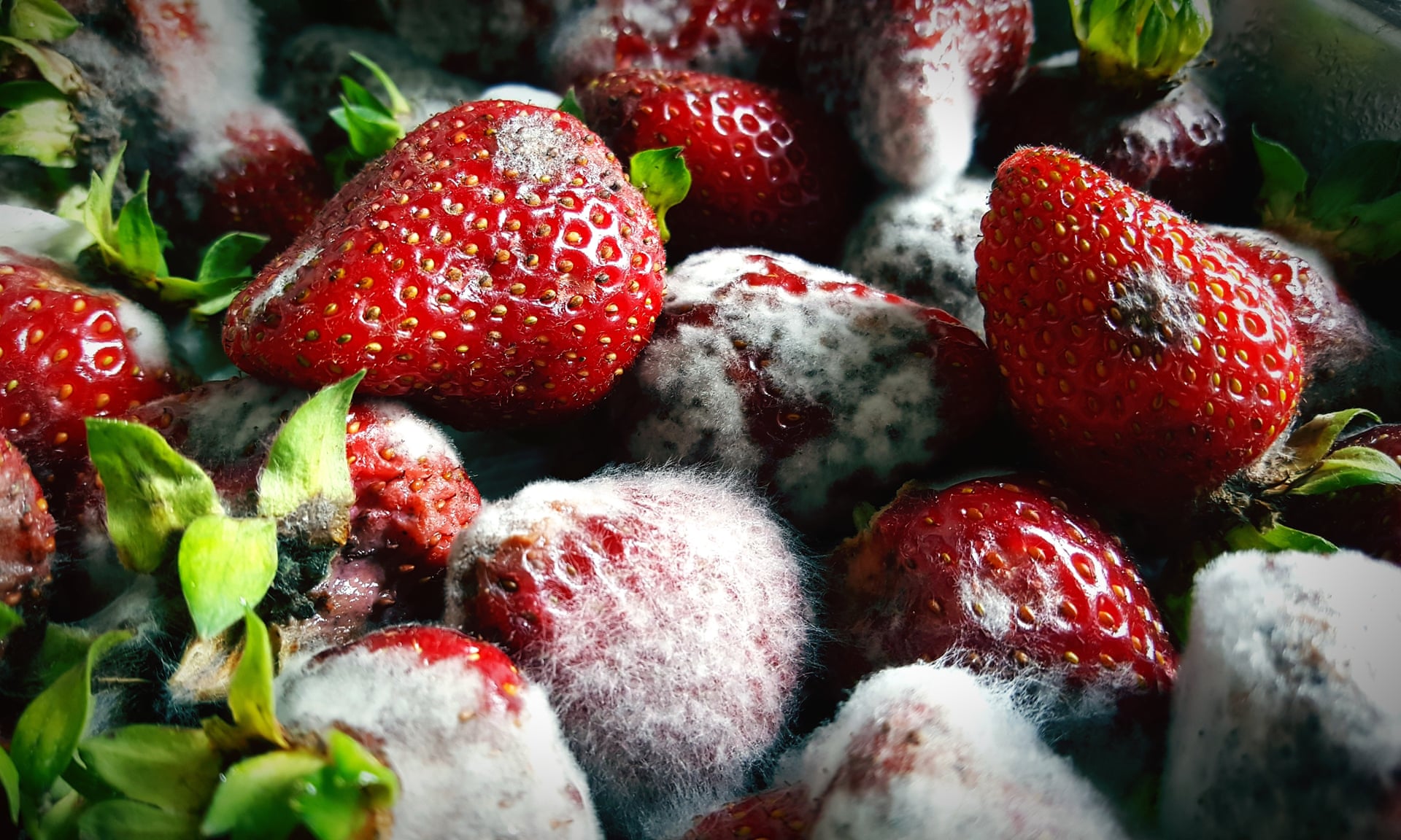 Rotten produce on sale at Romanian supermarkets, ct. Rok Stritof/EyeEm/Getty Images