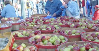 Washington Apple Week celebrations to commence
