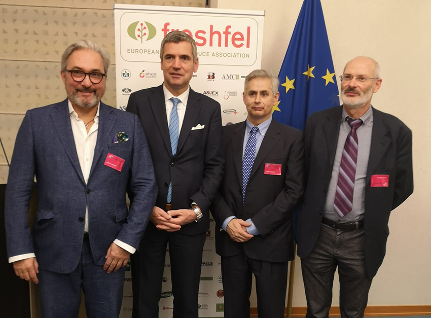 Freshfel Europe calls for a fresh fruit and vegetable-in-all-policies approach