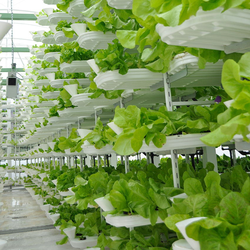 Urban vertical farming facility to be built in Australia, Credit: Valcenteu, Wikipedia