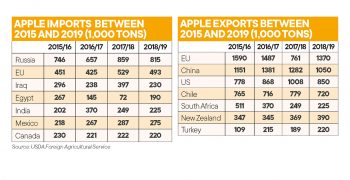 Global apple crop shrinks in 2018 due to smaller Chinese crop