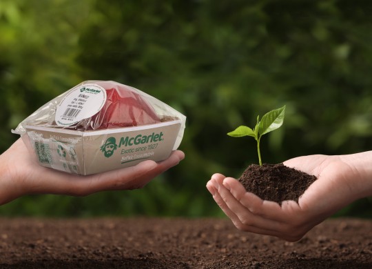 Biopac, McGarlet introduces completely compostable packaging