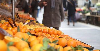 Russia imposes temporary ban on Chinese citrus imports
