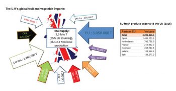 What can EU produce sector expect after Brexit?