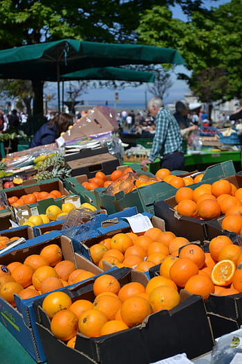 Prices of US produce drop in Japanese retailers 