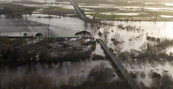 Spanish agriculture counts cost of Storm Gloria