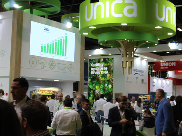 UNICA becomes first Andalusian cooperative to obtain AOP recognition