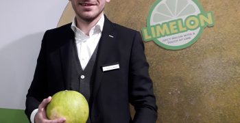 A novel melon variety taking Europe by storm